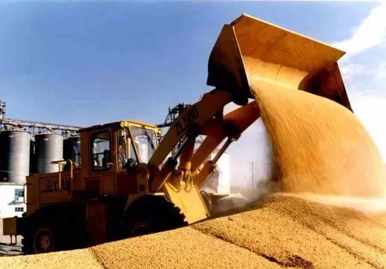 进口粮食应满足中方质量要求 进口粮食应满足中方质量要求