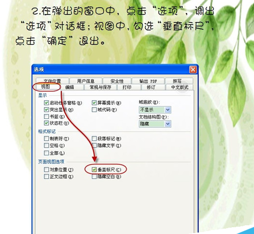 WPS标尺